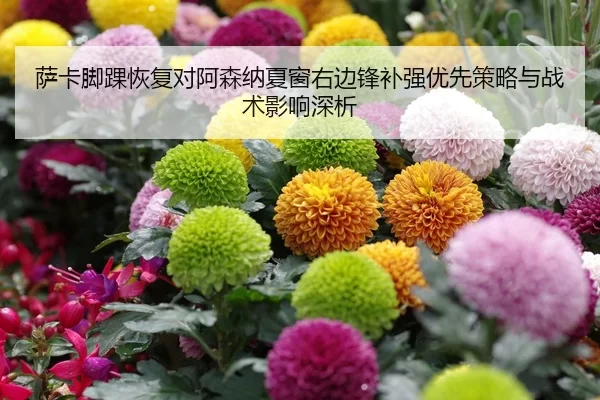 sa-ka-jiao-huai-hui-fu-dui-a-sen-na-xia-chuang-you-bian-feng-bu-qiang-you-xian-ce-lve-yu-zhan-shu-ying-xiang-shen-xi-2-443.jpg